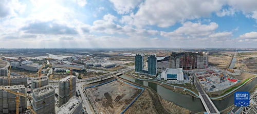 新春開新局 上海自貿(mào)區(qū)臨港新片區(qū)貿(mào)易建設(shè)熱潮涌動